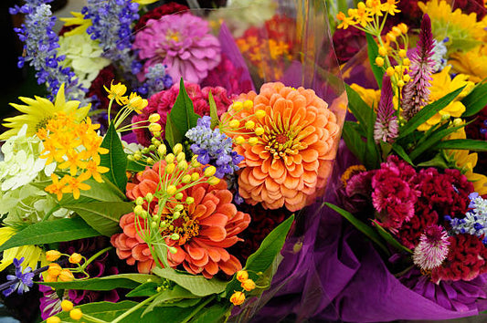 Buy Varieties of Flower Seeds (Pack of 100) And Get Plant Growth Supplement Free